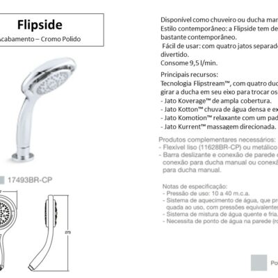 Ducha manual e Chuveiro Flipside Kohler - TerraTile